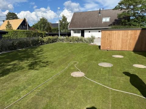 anlæg af græsplæne